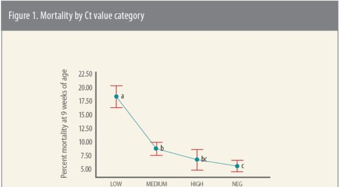 Ct values predict PRRS nursery mortality, can guide vaccination decisions