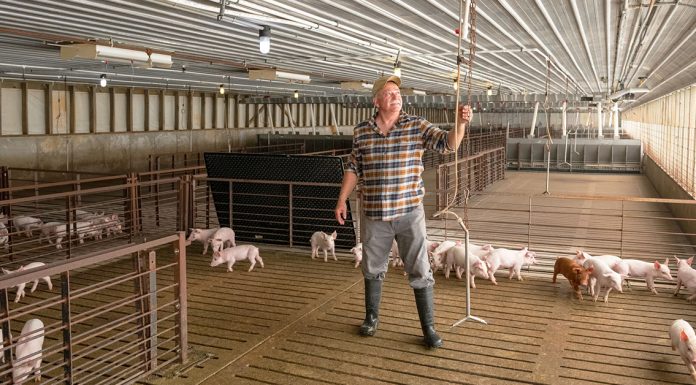 Weekly Hog Facility Maintenance