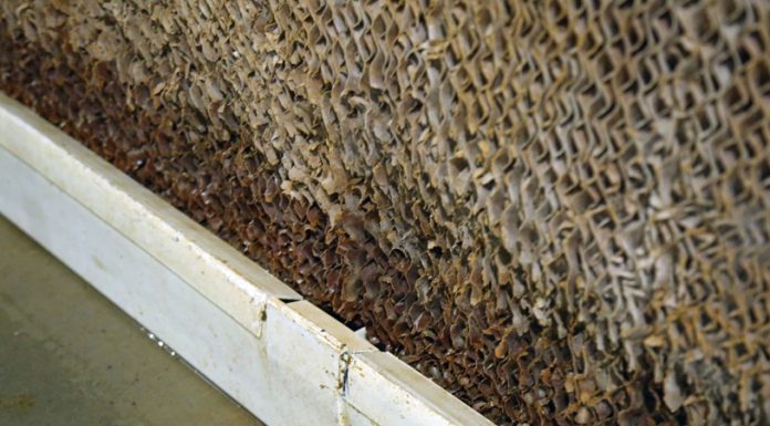 Avoid soggy cool cell bottoms