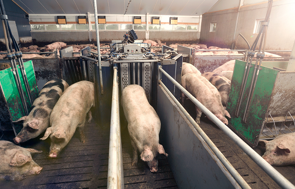 Keep one eye on the future and the other on your bottom line