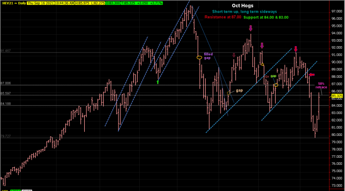 Hogs rally to 50% resistance