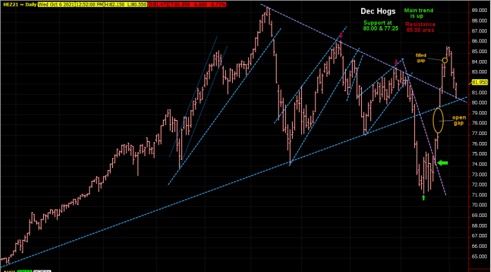 Hogs testing support, Bulls could try a few here