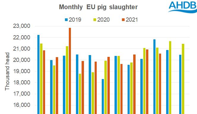EU pig slaughter remains robust in October
