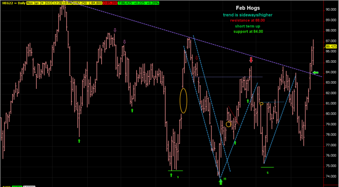 Hogs broke over resistance line
