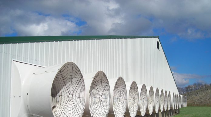 AP Offers Ventilation Video Series For Swine Producers