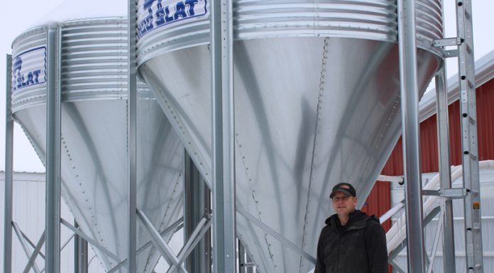 Progressive show pig breeder builds unique development barn.