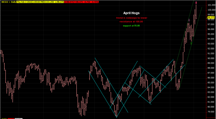 Hogs made closing price reversal