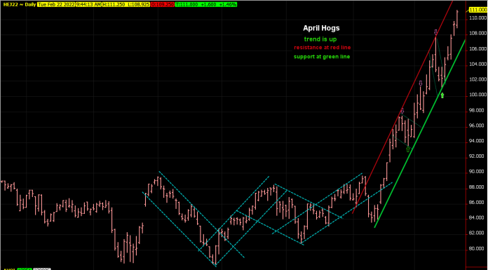 Hogs remain in upward channel