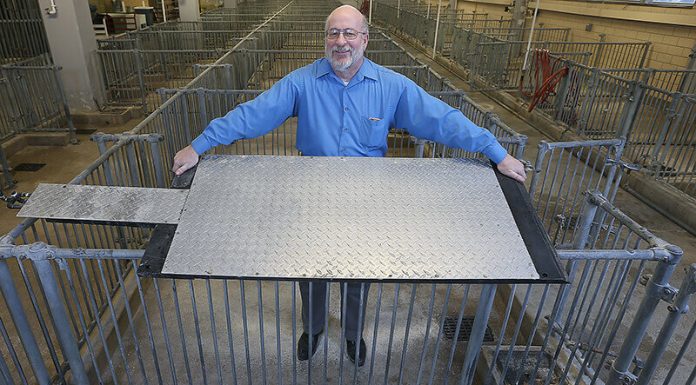 Purdue invention to improve health and welfare of farrowing sows is licensed to Canadian company