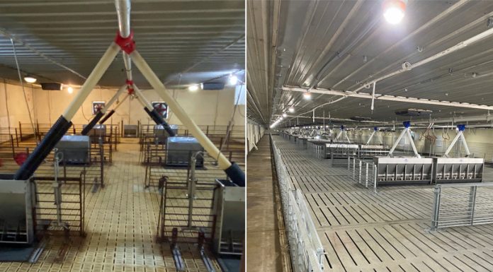 Retrofit project repurposes 20-year-old building