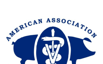 Abstract: Rapid identification of African swine fever virus in diagnostic samples using CRISPR-Cas