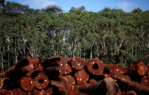 Conservation groups call for rich nations to bankroll biodiversity efforts