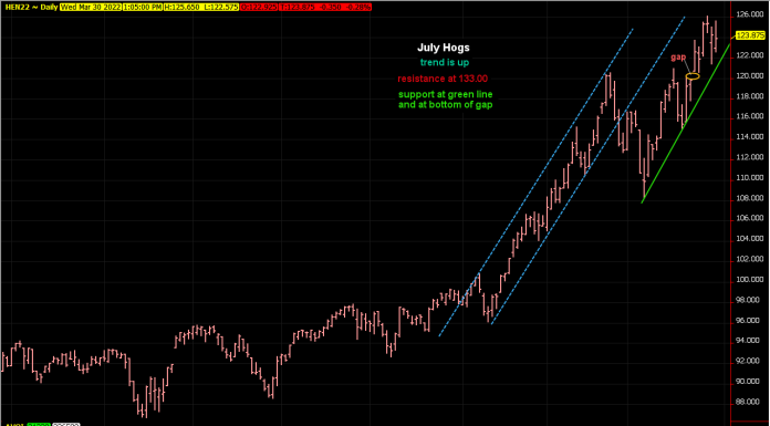 July hogs trend is higher