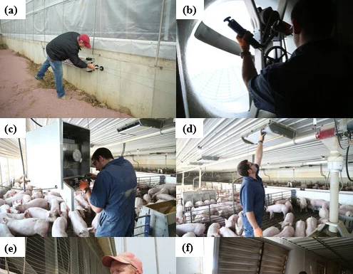 The Basics of Swine Barn Maintenance