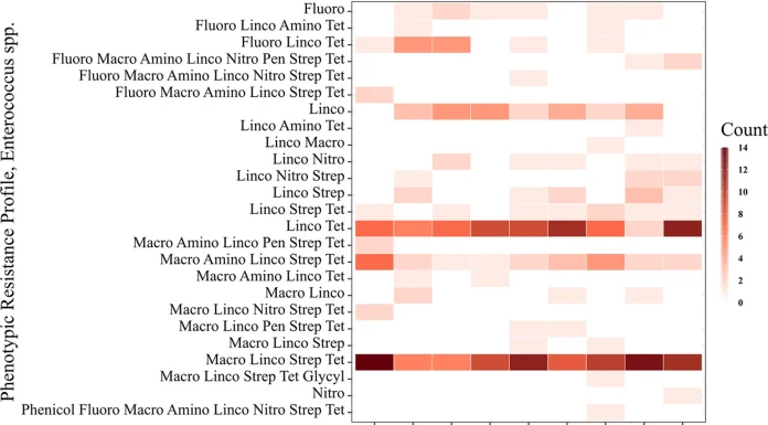 Evaluation of the Impact of Antimicrobial Use Protocols in Porcine Reproductive and Respiratory Syndrome Virus-Infected Swine on Phenotypic Antimicrobial Resistance Patterns