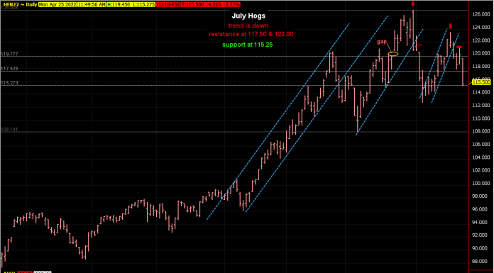 Hogs drop to support