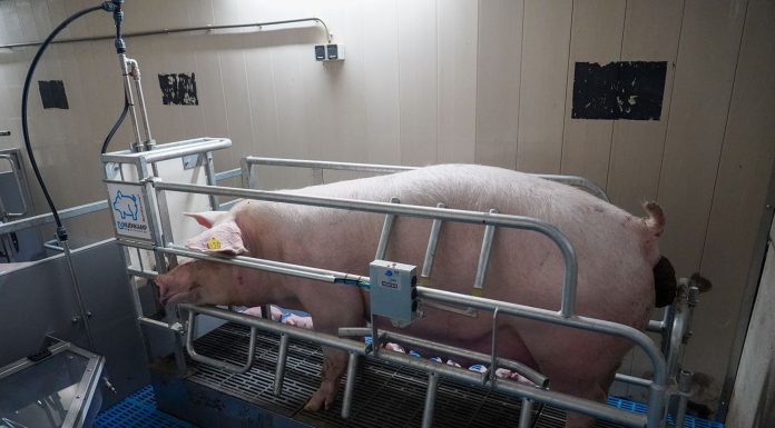 The movable floor provides a quick return of investment