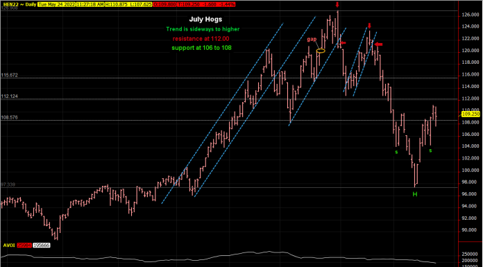 Hogs left Head and shoulders bottom