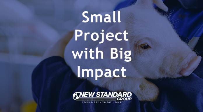 Small Hog Barn Project with Big Impact, New Standard Ag