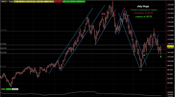 Hogs tested support, resuming upward direction