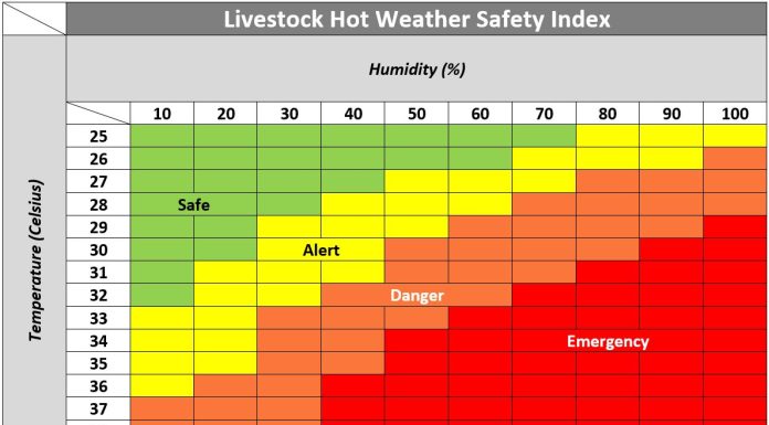 Hauling hogs when it’s hot? Animal welfare matters