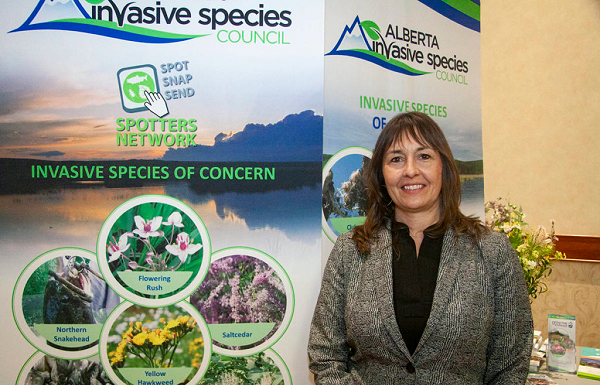 Strategic Trapping Most Effective Means of Controlling Wild Pigs