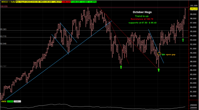 Hogs shoot up to previous high