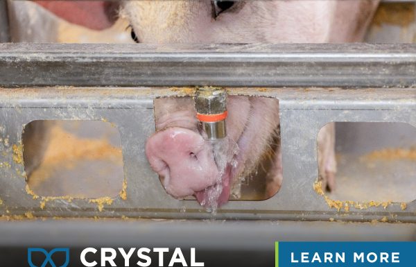 New Research Proves Benefits of Wet/Dry Feeding (Again)