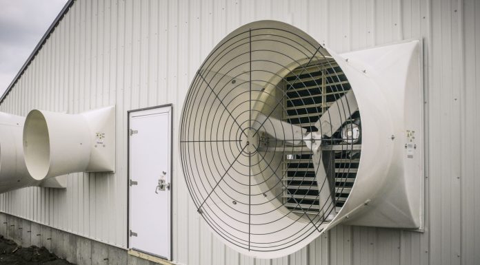 AP Shares Common Swine Barn Winter Ventilation Mistakes