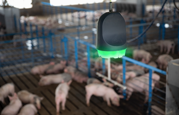 Boehringer Ingelheim Offers Barn Tech Solution to Enable Early Respiratory Disease Detection