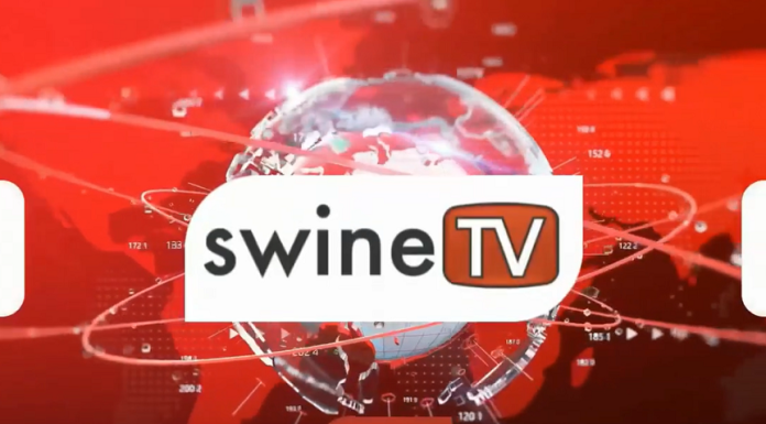 Swine TV Newscast, November 2022