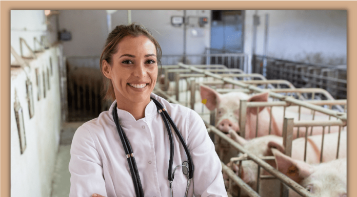 Developing Young Teams, Part 3: Giving Them Feedback