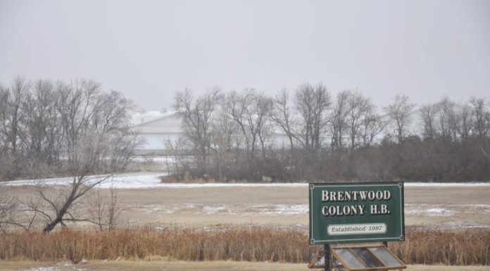 Brentwood Colony | Focusing on Improvement