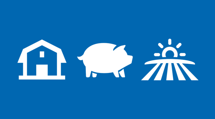 Sustainable Pork: Growing A Climate For Tomorrow