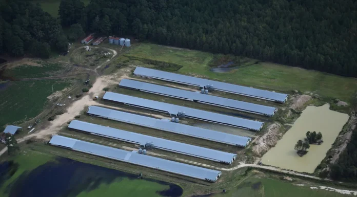 Proposed hog facility denied again due to incomplete information