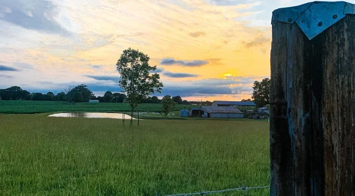 Wall Street Rules Should Not Extend to Family Farms