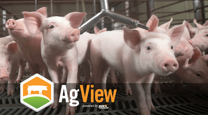 AgView: A Solution to Track Movement