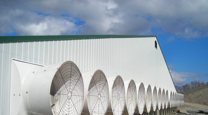 Give Your Swine Barn a Ventilation Checkup