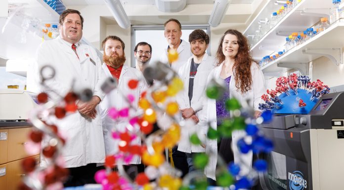 Husker scientists closing in on long-lasting swine flu vaccine