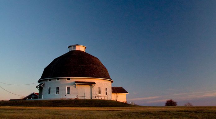 University of Illinois Invests in Veterinary College Proposal for ‘Virtual Care Hub’