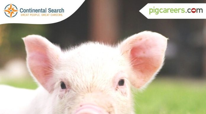 The Results of the Swine Live Production Salary Survey are Out!