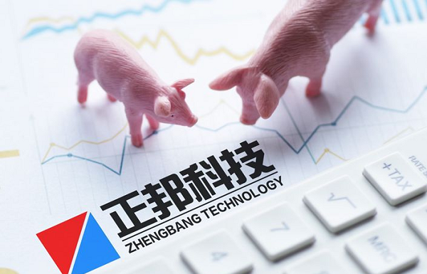 China’s Twins Group to lead restructuring of pig breeder Zhengbang