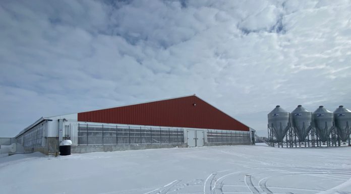 Time to winterize your buildings: best practices and tips.