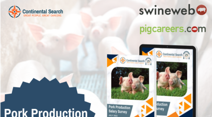 Why Small Producers Sometimes Pay Veterinarians Better Salaries than Larger Ones