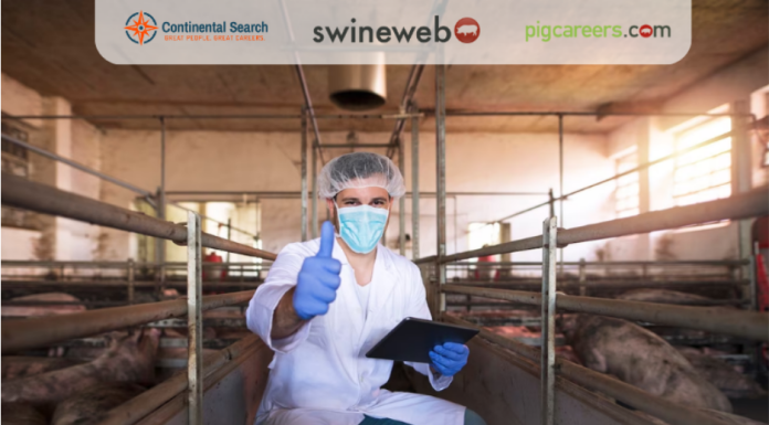 What Does a Geneticist in the Pork Industry Earn?