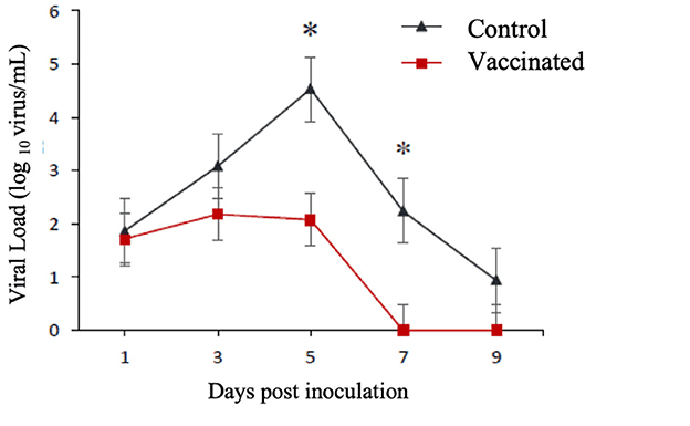Cross-protection of commercial vaccines against Chilean swine influenza A virus using the guinea pig model as a surrogate