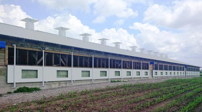 Sidewall Options for Swine Ventilation