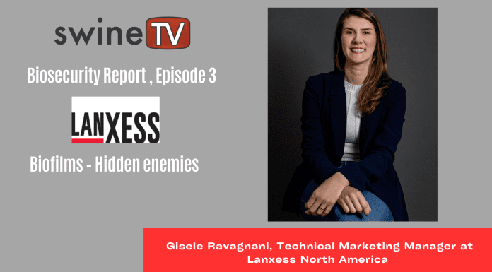 Biofilms – Hidden enemies With Gisele Ravagnani