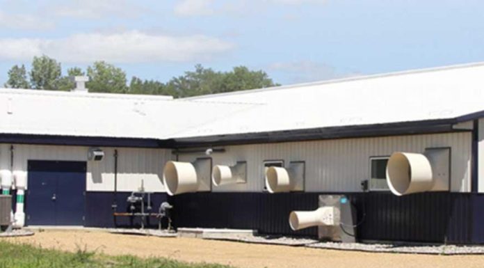 SowBridge Webinar: Barn Equipment and Ventilation Fan Maintenance