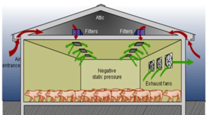 Basic types of ventilation in swine barns